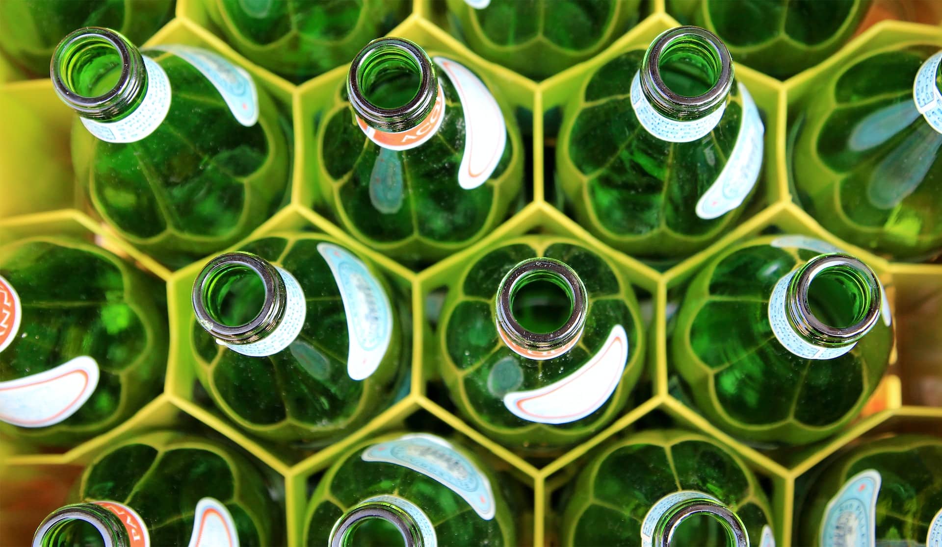 lacey-williams-Jwh_k0K_QOM-unsplash